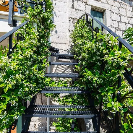 Small House Pivcevi Podgora (Split-Dalmatia)