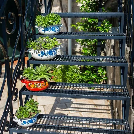 Small House Pivcevi Podgora (Split-Dalmatia)