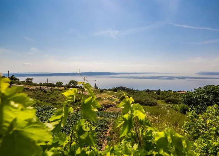 Small House Pivcevi *