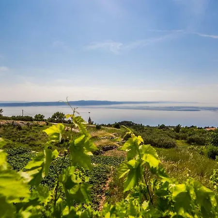 Small House Pivcevi *