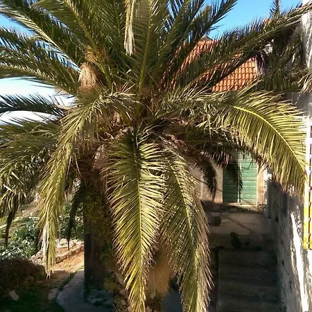 Small House Pivcevi