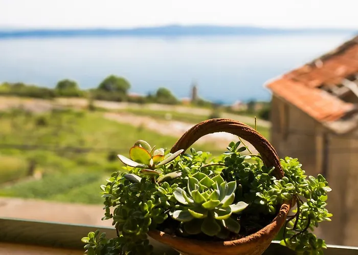 Villa Small House Pivcevi *